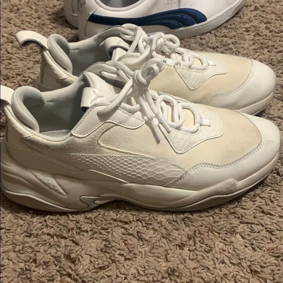 Pumas - Picture 6 of 12